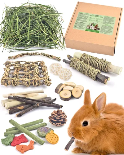 Vista 6 de Bissap Juguete masticable de conejo, golosinas naturales de conejito con Timothy Heno Water Grass Mat Masticar Bambú Palitos de Manzana Caja