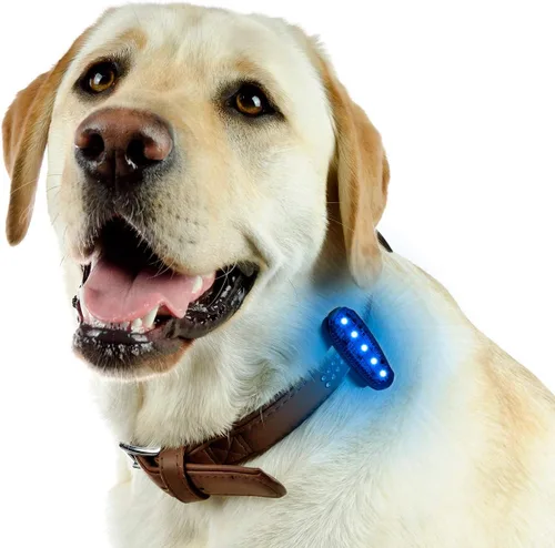 Vista 6 de Luces LED de seguridad recargables USB-C (paquete de 2) - Luces estroboscópicas con clip para corredores, corredores, caminantes, niños, perros Azul
