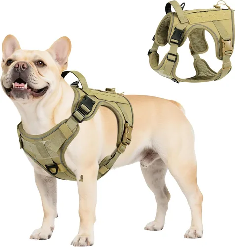Vista 41 de VavoPaw cinturón de seguridad para perro, arnés de coche con hebilla ajustable para perro, cinturón de seguridad de nailon para mascotas, resistente