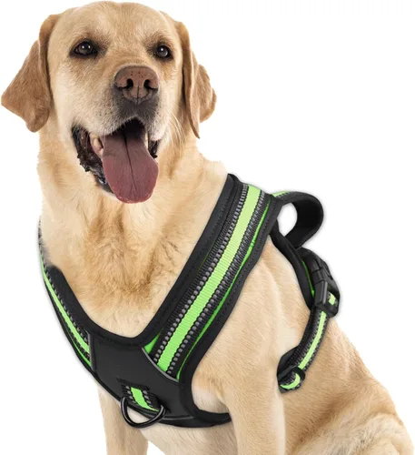 Vista 19 de Arnés para perro sin tirones, sin estrangulamiento, arnés para mascotas, ajustable, suave, acolchado, con asa de fácil control y tiras reflectantes