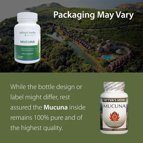 Vista 2 de Tattva's Herbs Mucuna Pruriens orgánico – L-Dopa natural, apoyo a la dopamina, vegano y sin gluten – 240 cápsulas (paquete de 2) Premium
