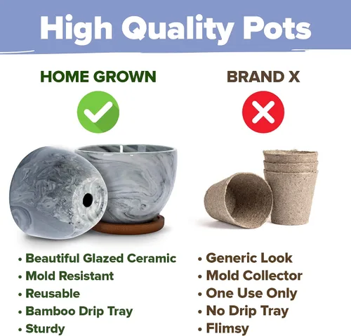 Vista 4 de HOME GROWN Kit de Árbol Bonsái – Juego Inicial Premium de Cerámica con 4 Variedades de Bonsái – Fácil Regalo de Jardinería Interior para Hombres