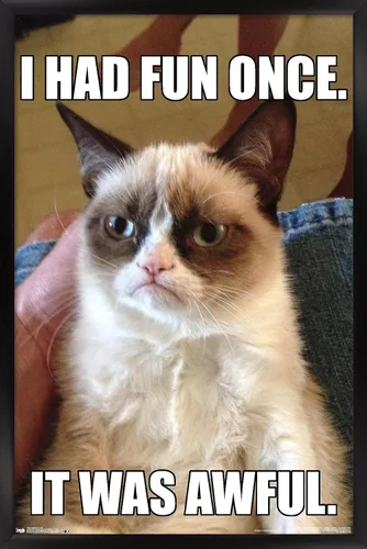 Vista 9 de Trends International Grumpy Cat - Póster de pared divertido, 22.375 x 34 pulgadas, versión enmarcada plateada Versión con marco plateado