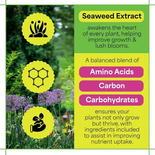 Vista 3 de Grow More Sea Grow Kelp Fertilizante – 1.5 libras de 16-16-16 – 16 – Alimento vegetal soluble en agua, multiusos, rico en nutrientes, fertilizante