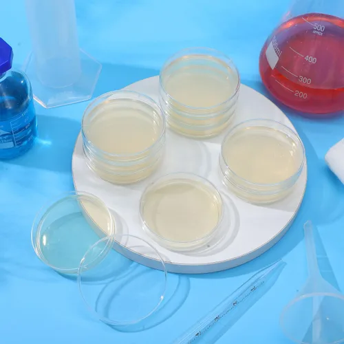 Vista 3 de Generic Placas de agar prevertidas, placas de agar nutrientes, placas de Petri con suministros de experimentos científicos para uso en el aula
