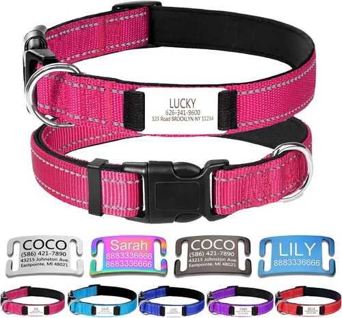 Vista 10 de Collar de perro de nailon personalizado con placa de nombre grabada, S, negro Custom engraved name & phone; reflective stitching, adjustable