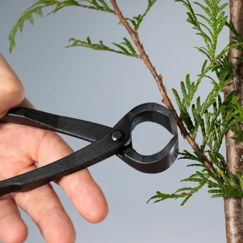 Vista 2 de Wazakura Cortador de raíz de bonsái forjado a mano fabricado en Japón, 6.7 pulgadas (6.693 in), cortador de árbol bonsái de acero al carbono negro