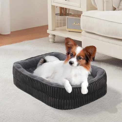 Vista 8 de Cama ortopédica para perros para cachorros, razas de perros extra pequeños, cama ovalada para gatos, sofá cama para perros de espuma de celda