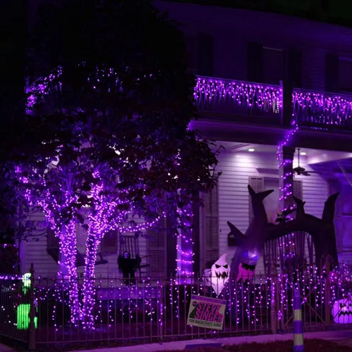 Vista 4 de Dazzle Bright - Guirnalda de luces de hadas de Halloween, 60 luces LED de 20 pies de alambre de cobre a batería y resistente al agua, decoraciones