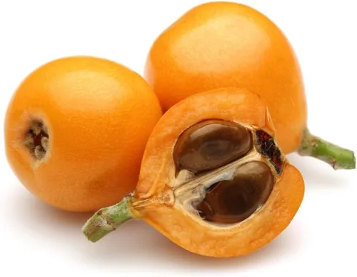 Vista 2 de Semillas de arbustos de níspero para plantar - Eriobotrya Japonica (5 semillas)