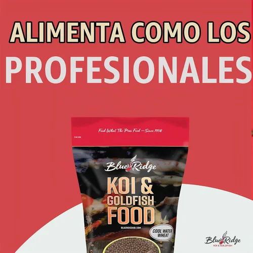 Vista 3 de Blue Ridge - Alimento para peces Koi de trigo con agua fría, pellets de 3