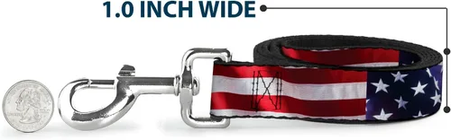 Vista 5 de Buckle-Down Correa para perro Bandera estadounidense vívido de cerca duradero elegante para paseos