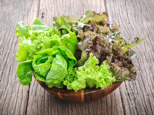 Vista 4 de Semillas Bebé Lechuga Vitamina Mezcla Balcón No GMO Heirloom