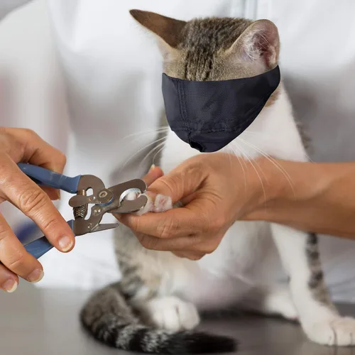 Vista 5 de Downtown Pet Supply - Bozal para gatos para aseo, bozal suave y delicado, suministros de aseo para gatos, nailon, mediano