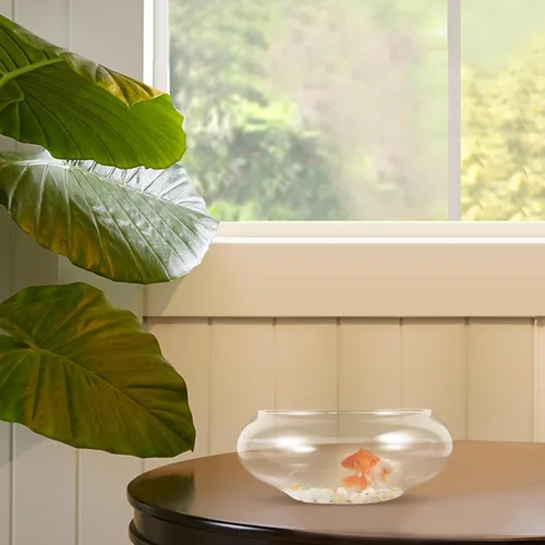 Vista 6 de Happyyami Jarrón de vidrio para peces de cristal, cuenco transparente de boca ancha, jarrón redondo, terrario, planta de aire, maceta hidropónica