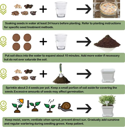 Vista 5 de Kit de cultivo de hierbas, 10 semillas de hierbas, kit de iniciación de jardín, juego completo de cultivo de plantas en maceta que incluye macetas