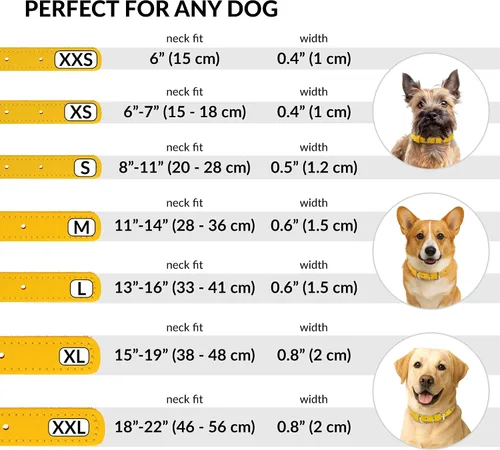 Vista 4 de CollarDirect Collar de cuero enrollado para perro, collar redondo acolchado suave para cachorros, hecho a mano, collar de cuero genuino para perros