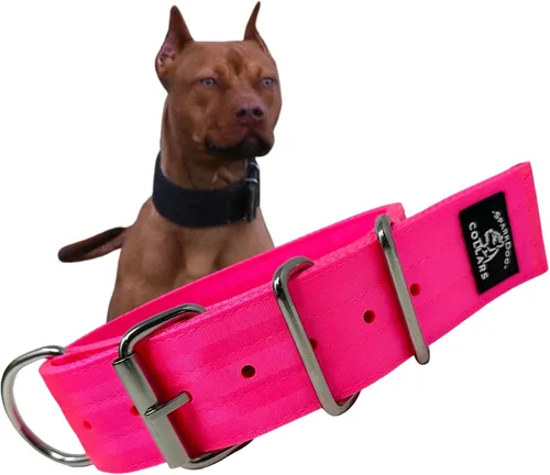 Vista 14 de SparkDog - Collar de perro resistente de 1.5 pulgadas, correa ajustable de grado de cinturón de seguridad con herrajes de acero inoxidable