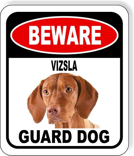 Vista 115 de BEWARE BASSETT HOUND GUARD DOG - Letrero compuesto de aluminio para exteriores, 8.5 x 10 pulgadas CUIDADO BASSETT HOUND GUARD PERRO