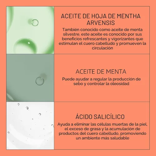 Vista 7 de Nioxin System 4 Champú Espesante para Cuero Cabelludo + Cabello para Cabello Teñido, Seco y Dañado con Adelgazamiento Progresivo Mantiene