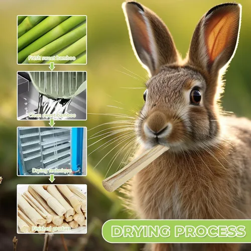 Vista 5 de Palitos masticables de bambú dulce de 1 libra para animales pequeños