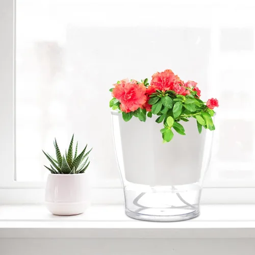 Vista 6 de ZOOFOX Paquete de 4 macetas de riego automático para plantas de interior, maceta grande de plástico transparente de 7 pulgadas, maceta decorativa