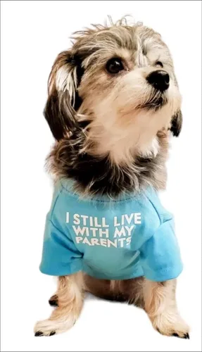 Vista 3 de Ropa linda para perro, camiseta para perros medianos y pequeños, niña y niño, cachorro. Disfraz suave y transpirable para mascotas, perros, gatos