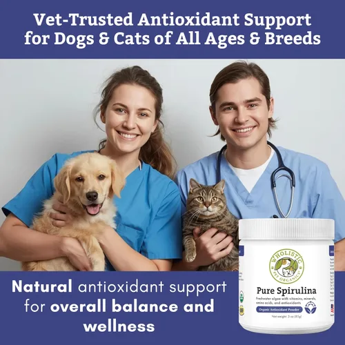 Vista 4 de Wholistic Pet Organics Spirulina en polvo para perros y gatos - Apoyo antioxidante para perros y gatos - Suplemento de apoyo inmunológico, promueve