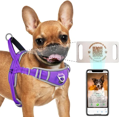 Vista 14 de ADVENTUREMORE Arnés para perro pequeño sin tirones con etiqueta de código QR, chaleco reflectante, asa de clip frontal para entrenar caminando