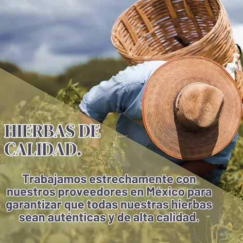 Vista 5 de Evergreen Herbs Prodigiosa (cápsulas) - Sello a prueba de manipulaciones para garantizar la frescura.