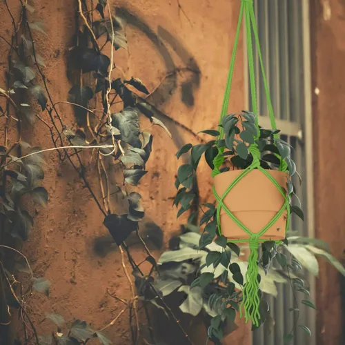 Vista 9 de ZUEXT Cordón de algodón para macramé de 4 mm x 500 m, ZUEXT Cordones trenzados naturales hechos a mano en verde manzana de 4 hebras, cuerda de lana