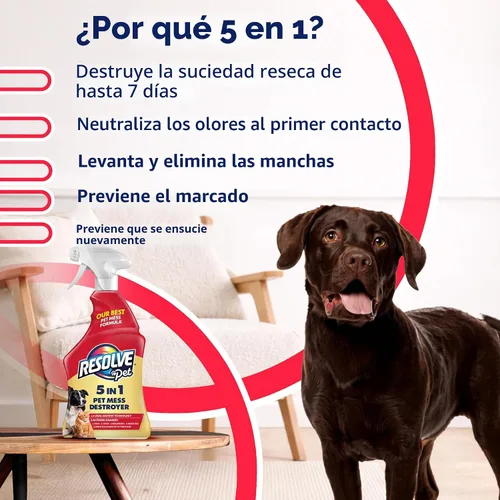 Vista 4 de Resolve® Spray limpiador de alfombras 5 en 1 para manchas y olores, 22