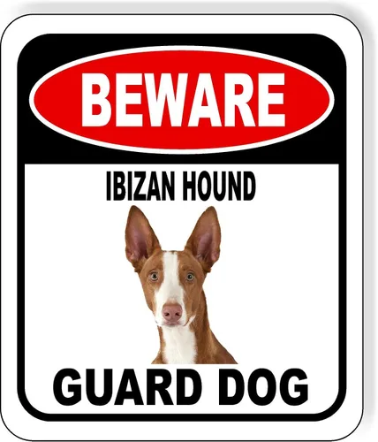 Vista 138 de BEWARE BASSETT HOUND GUARD DOG - Letrero compuesto de aluminio para exteriores, 8.5 x 10 pulgadas CUIDADO BASSETT HOUND GUARD PERRO
