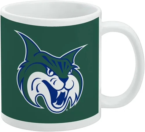 Vista 394 de Taza de cerámica con el logotipo principal de la Universidad Rider, taza de regalo novedosa para café, té y bebidas calientes, 11oz, blanca