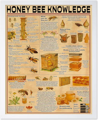 Vista 54 de Poster Master Póster de conocimiento de preparación de café, impresión de preparación de café, ilustración de alimentos y bebidas, impresión
