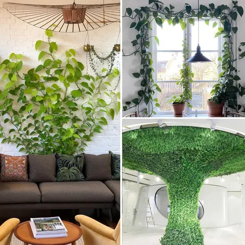 Vista 2 de Clips de fijación de plantas para plantas trepadoras de pared, 50 piezas en forma de caracol, clips de pared invisibles para plantas trepadoras