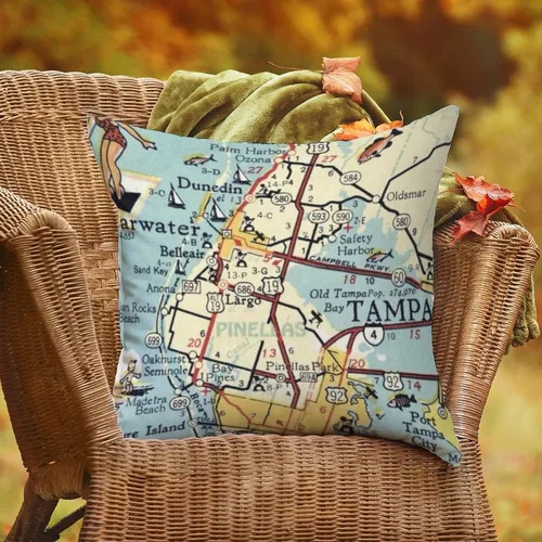 Vista 4 de Pinellas County Florida Map - Fundas de almohada para exteriores, impermeables, de 20 x 20 pulgadas, fundas de cojín decorativas para exteriores