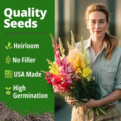 Vista 52 de HOME GROWN Semillas de Hollyhock de doble mezcla de Chater, 200 semillas