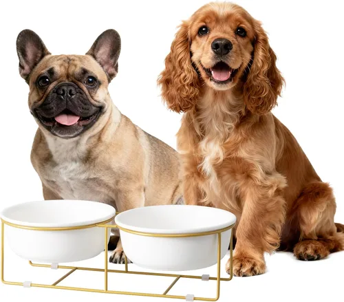 Vista 13 de Cuenco elevado de vidrio pequeño inclinado para gatos y perros, plato elevado para comida para gatos, plato de agua para mascotas, cuencos