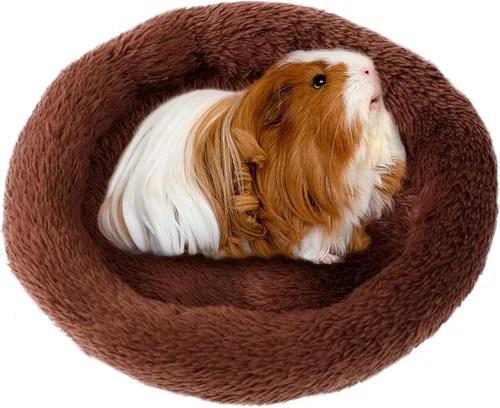 Vista 13 de FEBSNOW Cama de conejillo de indias y hámster para animales pequeños con cepillo removedor de pelo