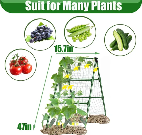 Vista 3 de Enrejados de pepino en un marco para plantas con soporte verde enrejado para pepino, plantas trepadoras, verduras, flores (verde) 47 x 15 pulgadas
