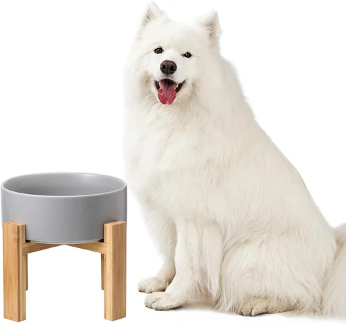 Vista 11 de Cuenco elevado de cerámica para gatos - Cuenco de comida para gatos con soporte de bambú - Plato elevado de comida para perros para cachorros - Verde