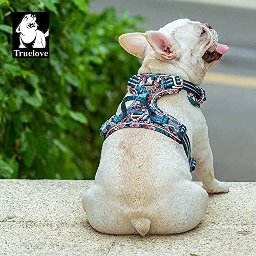 Vista 5 de WINHYEPET True Love TLH56555 - Arnés para perro sin tirones, tela de algodón transpirable y reflectante suave, ajustable para correr y caminar