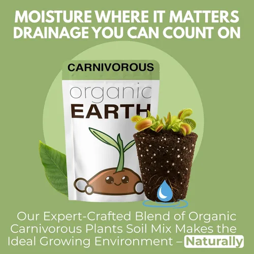 Vista 5 de Organic Earth Mezcla de suelo para plantas carnívoras, tamaño grande, alimento para plantas, turba y perlita para plantas carnívoras, suelo