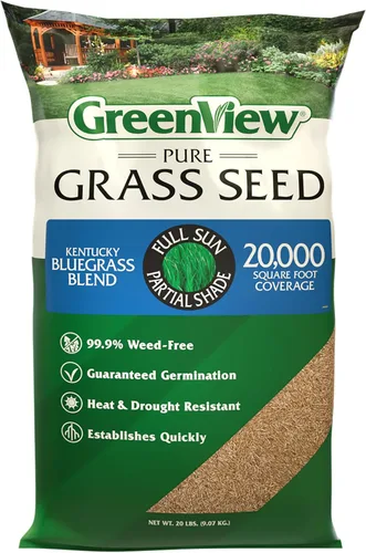 Vista 10 de GreenView Pure Grass Seed Kentucky Bluegrass Blend, bolsa de 3 libras Fill bare spots fast, bluegrass seed for sun and light shade, overseeding