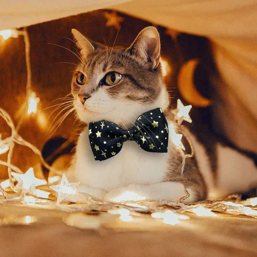 Vista 7 de Pohshido Paquete de 2 collares de gato con pajarita y campana, collar de gatito estrellado para machos, hembras, niños y niñas, gatos (rosa y negro)