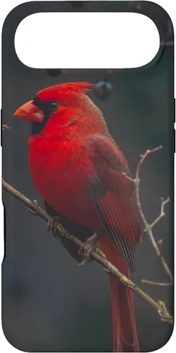 Vista 27 de Funda para iPhone 16 Cardinal Bird