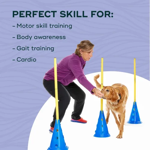 Vista 5 de FitPAWS Kit de agilidad Ball Dynamics CanineGym