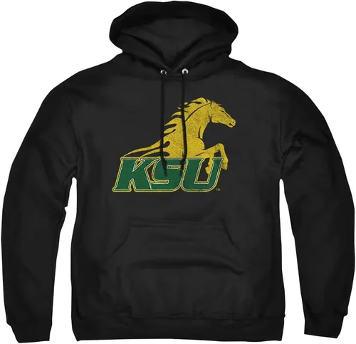 Vista 72 de Distressed College Primary Logo Adult Pullover Hoodie Collection 1 Universidad Estatal de Albany