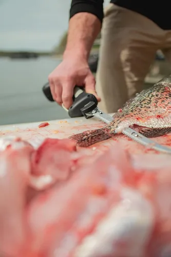 Vista 4 de Old Timer Electric Fillet Knife with Rechargeable Battery, 8" Blade, High Carbon Stainless Steel, For Fishing, Filleting, and Outdoors